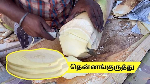 Coconut Stem