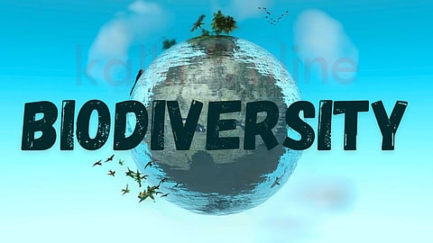 Biodiversity