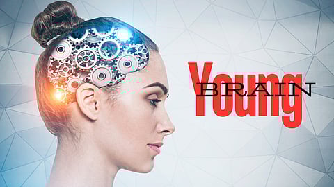 Young brain