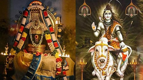 Do you know why Shani Pradosha is so special?