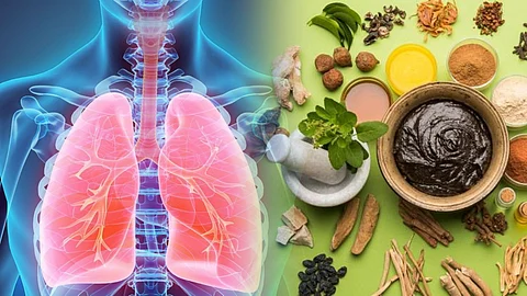 Herbs for Lung Health
