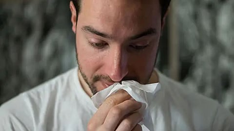 Symptoms of hay fever