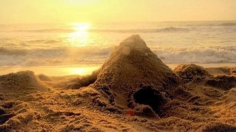 Sand Home In Beach