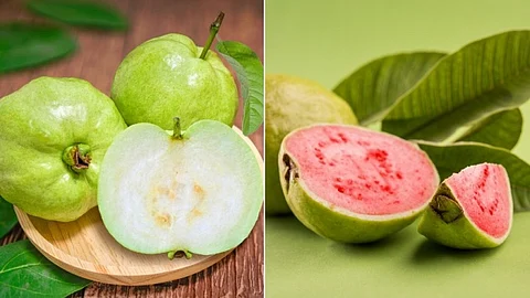 Red Guava Vs White Guava Which Is Better?