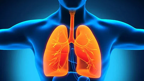 Healthy Lungs