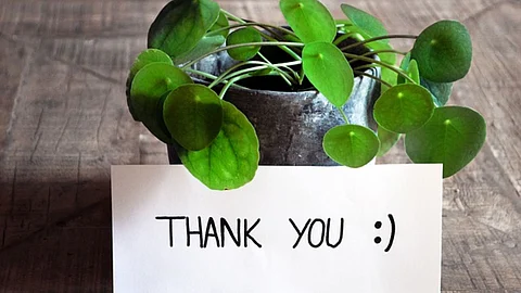 Do you know the meaning of the word thank you?