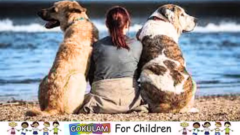 Loyalty is a big word