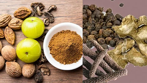 Triphala - Trikatugam