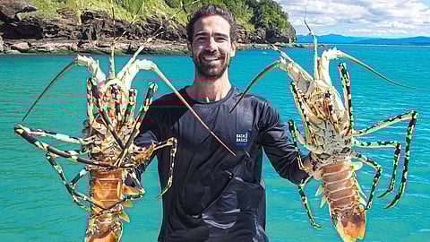 lobster fish
