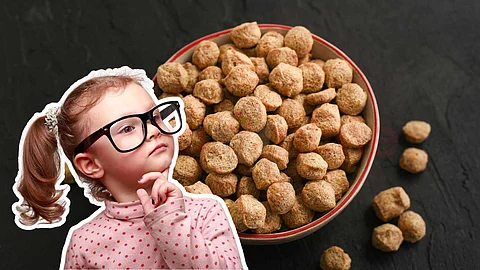 Soya chunks