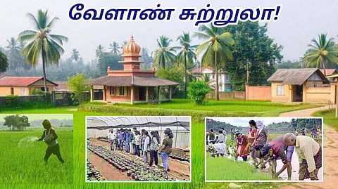 Agricultural Tourism