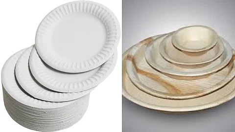 Paper plates and gourd bat plates