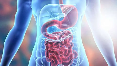 Digestive organs health