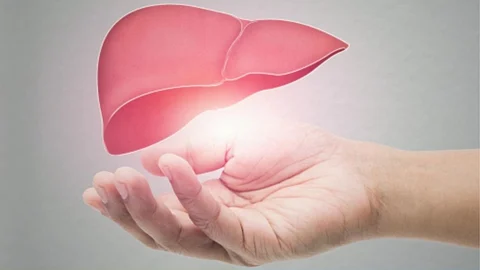 healthy liver