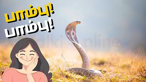 Snakes