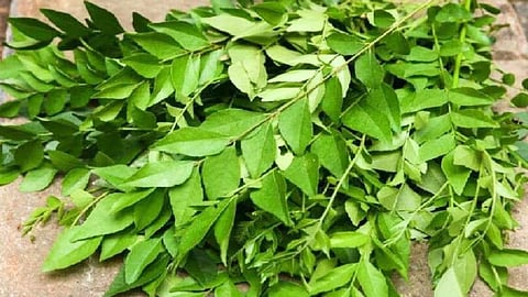 How to use curry leaves?