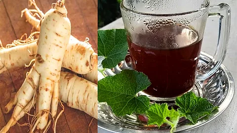 Buy Wild Radish Lekium and drink Musumuzukai Tea!
