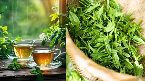 Green tea...