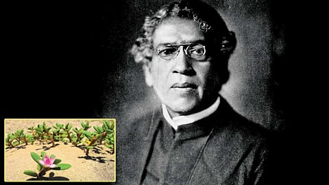 Faith is your partner!