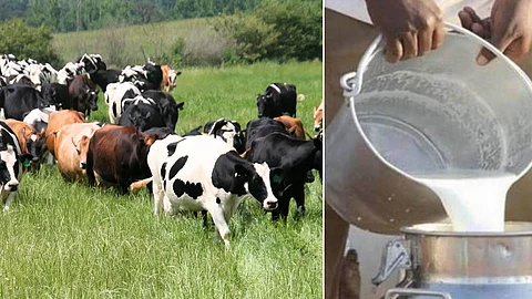 Do you know where there is a village that does not sell milk?