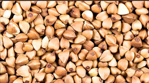 Wheat that reduces stress!