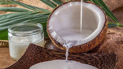 coconut Milk