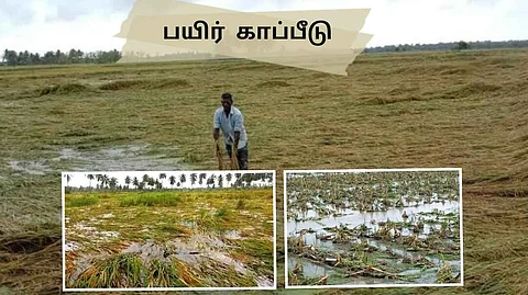 Individual Crop Insurance