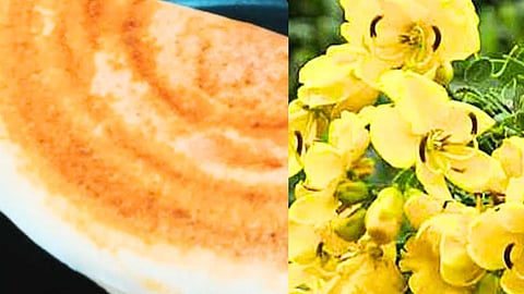 healthy dosai recipes