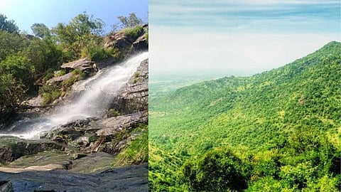 A Green Travel Experience!