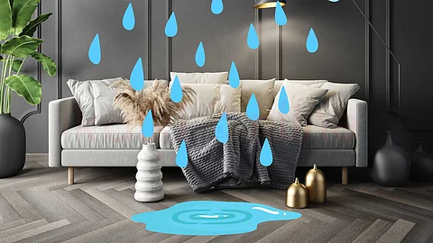 Rainy Season