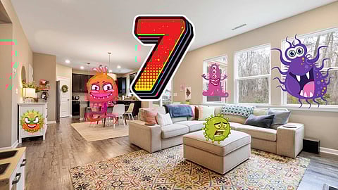 Germs In home