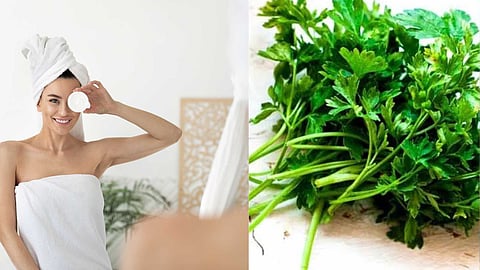 Coriander prevents pimples and blackheads!