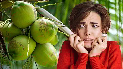 Tender Coconut Diabetes