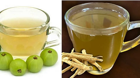 Cold immune teas!