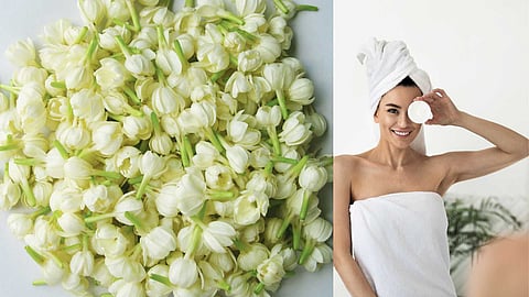jasmine that cures skin diseases