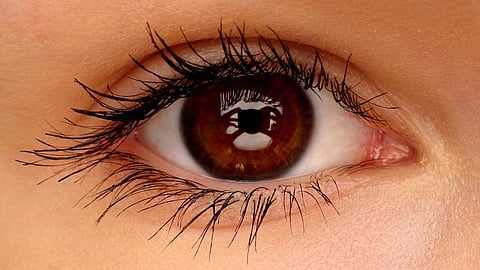 Eye Care Tips