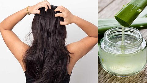 Home Remedies to Prevent Hair Loss!