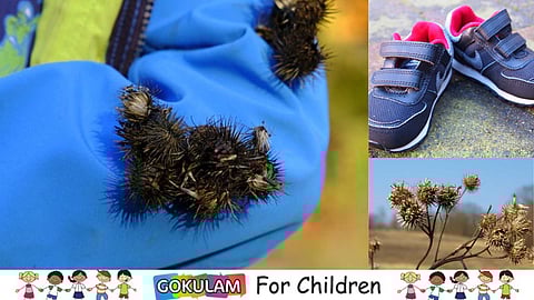 How Velcro Was Invented?