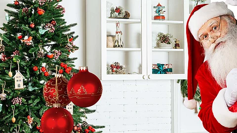 Interesting facts about the Christmas tree!