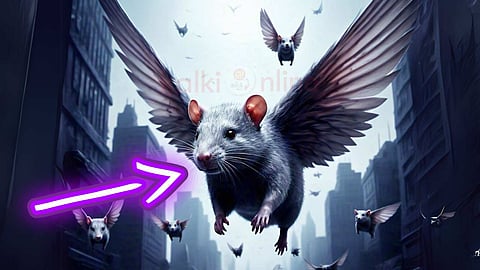 Flying Rats