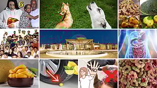 Most read articles in 2024