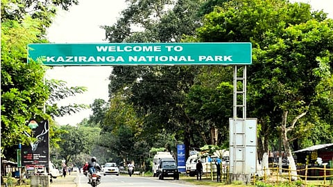 unforgettable Kaziranga National Park...