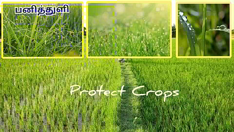 Protect From Snowfall