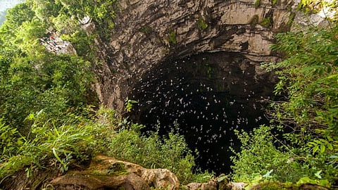 cueva de las golondrinas located mexico