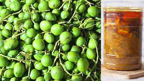 Delicious Dishes, Rasams and Recipes in Mango!