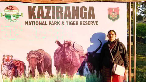 elephant safari in Kaziranga