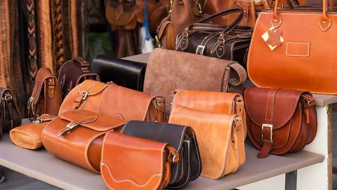 story of 'ladies hand bag'