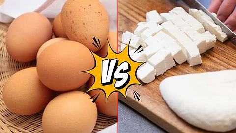 Egg vs Paneer