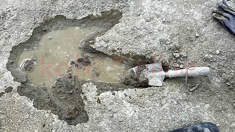 டைனோசர் கால்தடம்