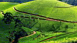 5 Amazing Places in India for tour!